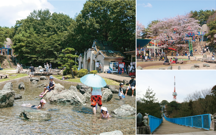 八幡山公園