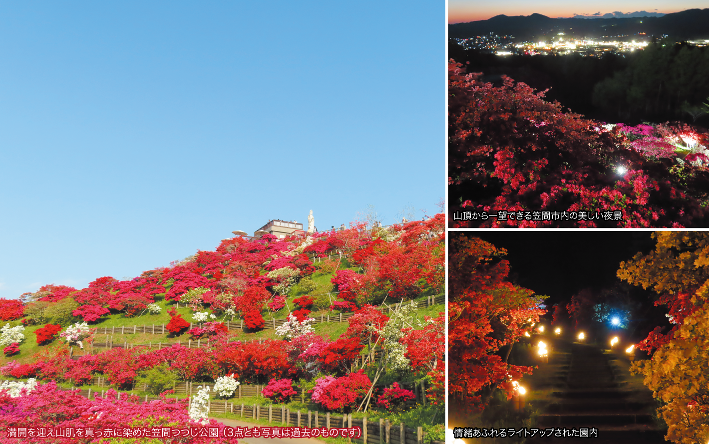 笠間つつじ公園