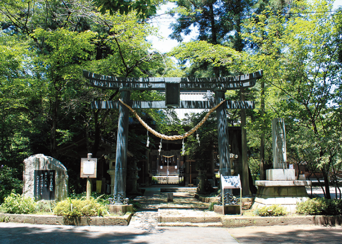 Placeholder image